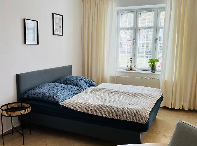 Kleine Fine